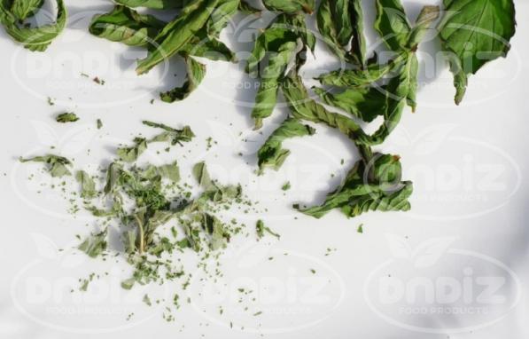 قیمت روز نعناع خشک شده کیلویی