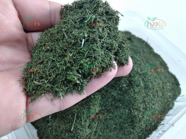 نحوه خشک کردن سبزی شوید