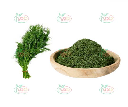 مشخصات شوید خشک صادراتی