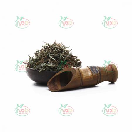 عرضه کننده ترخون خشک شده