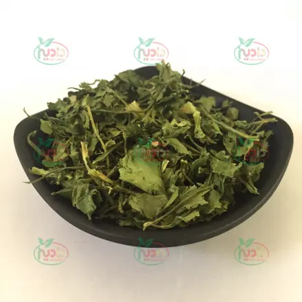 ارائه سبزی خشک گشنیز ۱۰۰ گرمی