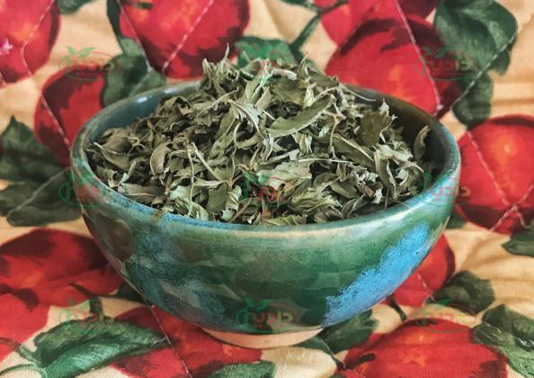 تسکین درد معده با سبزی خشک نعناع