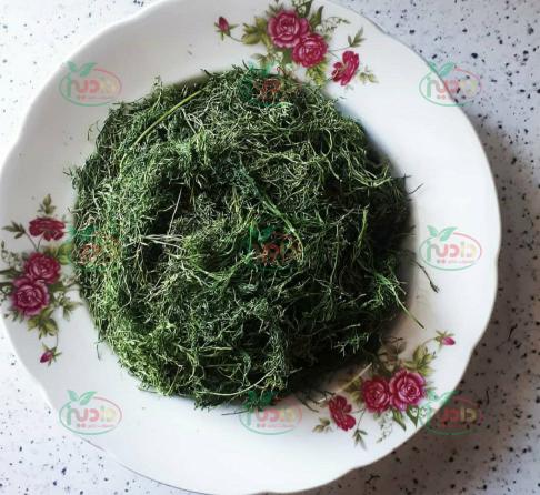 شناخت خواص درمانی شوید خشک اصفهان