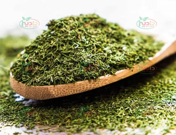 خرید سبزی خشک شوید بدون واسطه