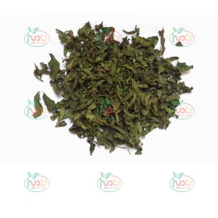 روش های تشخیص سبزی خشک با کیفیت