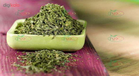 مراکز عرضه گشنیز خشک