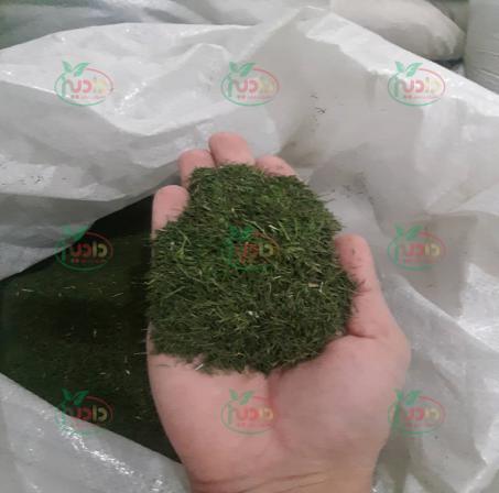 خرید سبزی خشک شوید