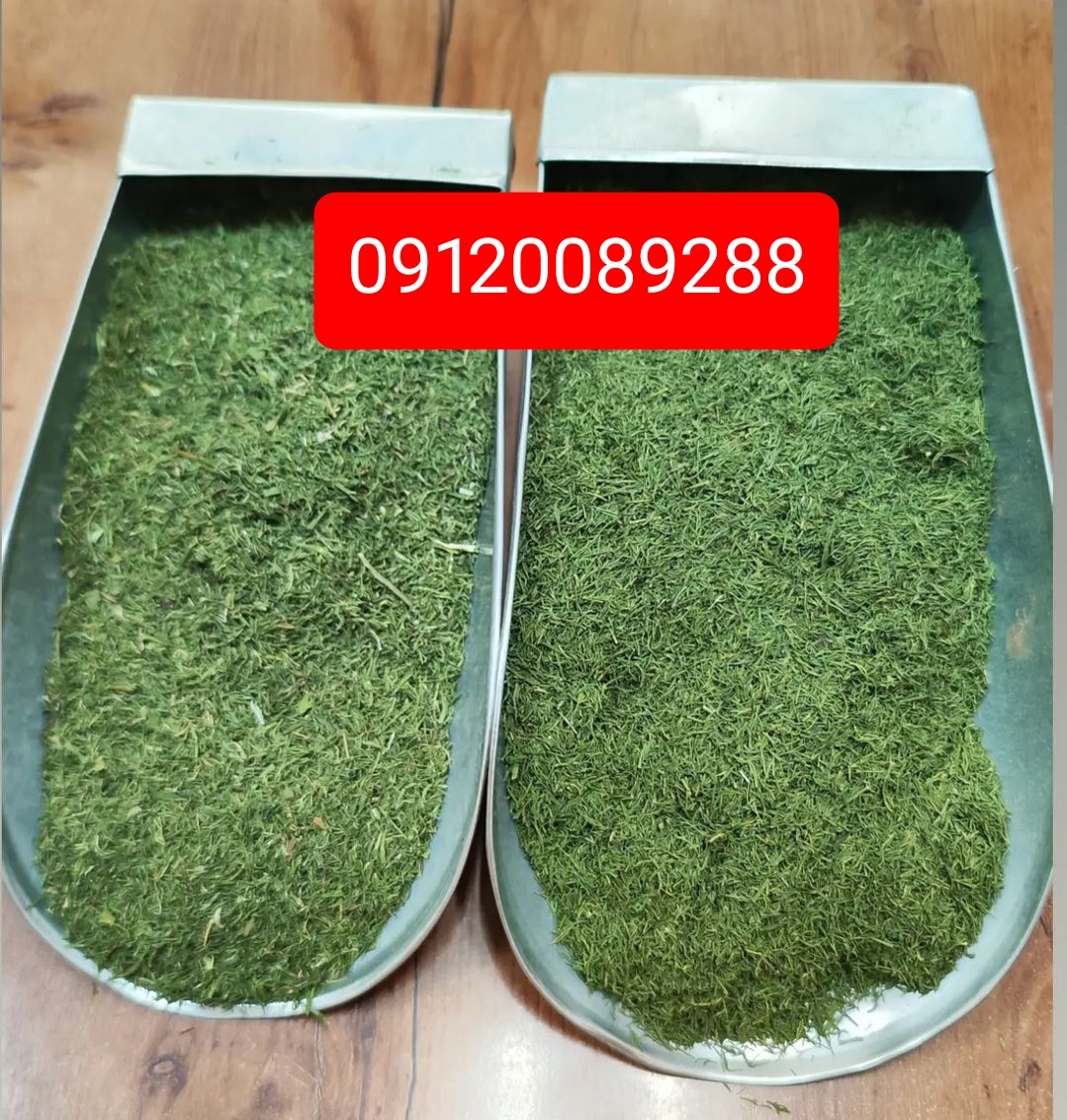 مرکز خرید سبزی خشک کرده