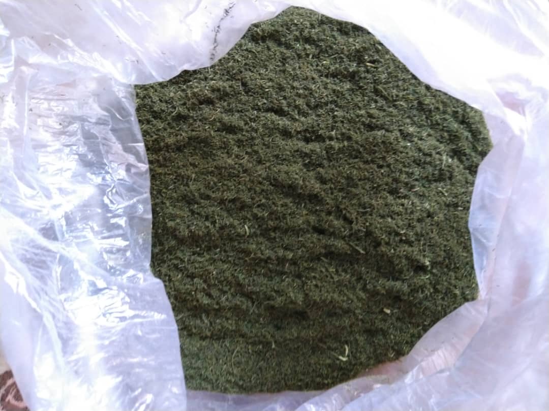 کارخانه تولید شوید خشک