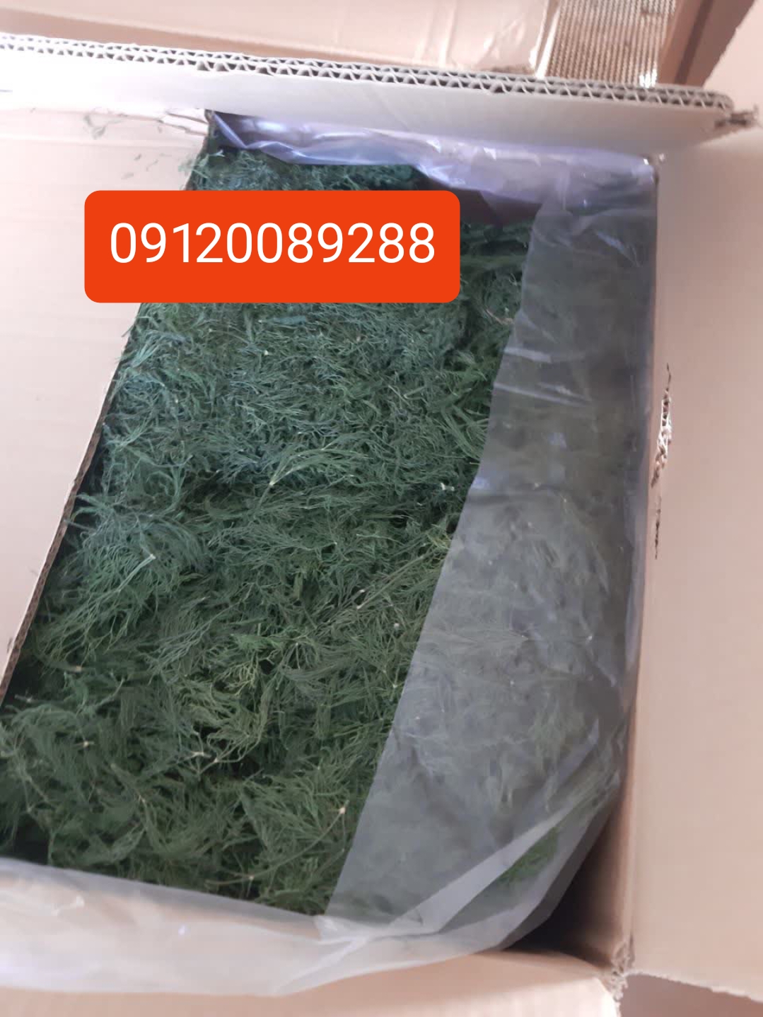 فروش سبزی خشک عمده