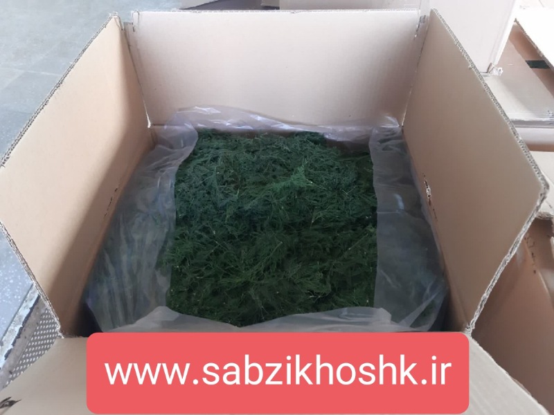 قیمت دهی شوید خشک فله