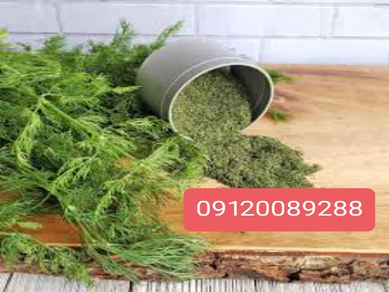 کارخانه شوید خشک