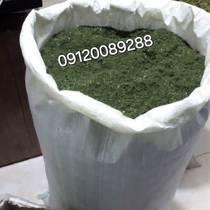 توزیع شوید خشک فله