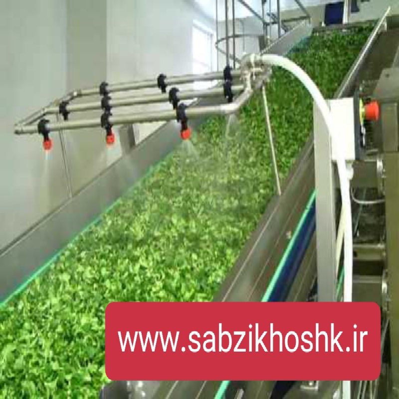 کارخانه سبزی خشک کنی