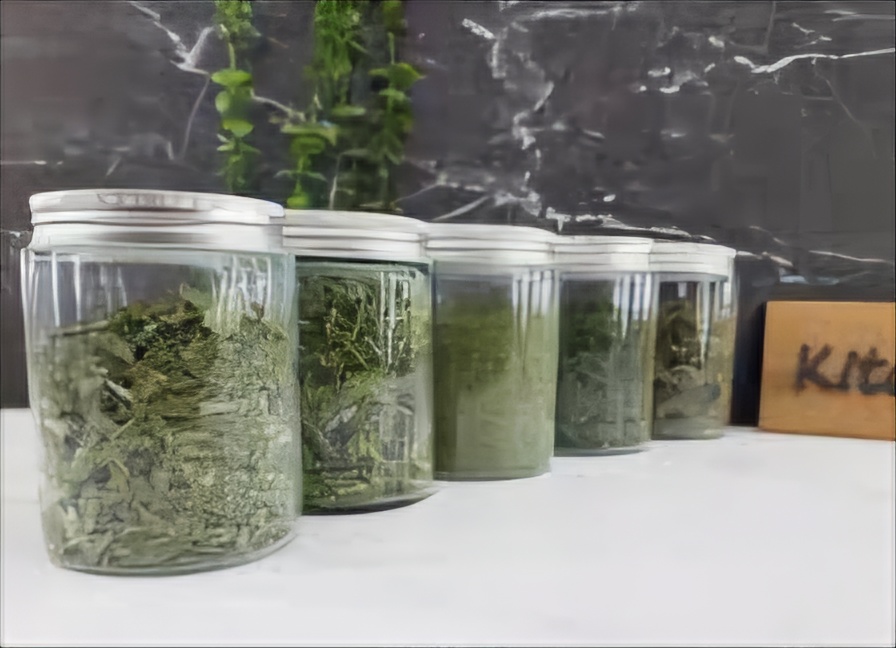 شوید خشک فله