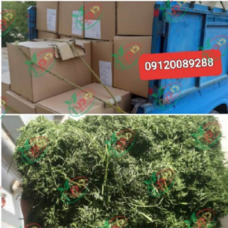 مرکز خرید سبزی خشک کرده